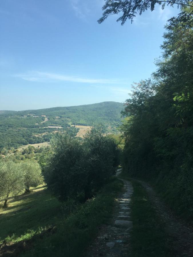Villa San Regolino Whit Private Pool Radicondoli Экстерьер фото